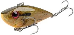 Strike King Red Eyed Shad Tungsten 2 Tap 3/4 Oz. Lipless Crankbait -Hot Sale Angling Store orange bream e907a702 bfec 4a03 9078 1b2ffae2faa6