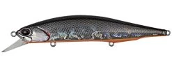 Duo Realis Jerkbait 110SP Suspending -Hot Sale Angling Store prism shad 8b7f7310 1bc7 4a23 8014 52988529c47b