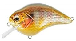 Megabass S Crank 1.2 Shallow Squarebill Crankbait -Hot Sale Angling Store s crank pm gill