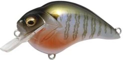 Megabass S Crank 1.2 Shallow Squarebill Crankbait -Hot Sale Angling Store s crank secret gill