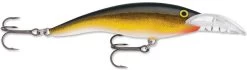 Rapala Scatter Rap 09 Tail Dancer Deep Diving Crankbait -Hot Sale Angling Store scatter rap tail dancer gold 811718c5 dedb 488a 9a9e c331ec74aeac