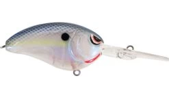 SPRO John Crews Little John DD 60 Deep Diving Crankbait -Hot Sale Angling Store spooky nasty 4c6eb988 d4bd 4c23 a702 b4c240bbfe7c