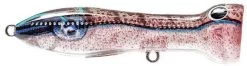 Nomad Design Chug Norris Freshwater/Inshore Popper -Hot Sale Angling Store squid surprise