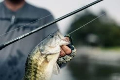 Temple Fork Outfitters Tactical Elite Bass Baitcasting Rods -Hot Sale Angling Store tfo tactical elite bass bottom banner lifestyle 5 1