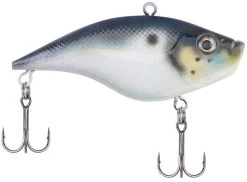 Berkley Warpig Lipless Crankbait -Hot Sale Angling Store warpig blue back